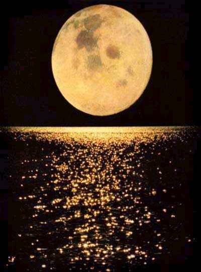 20071019111554-1luna.jpg